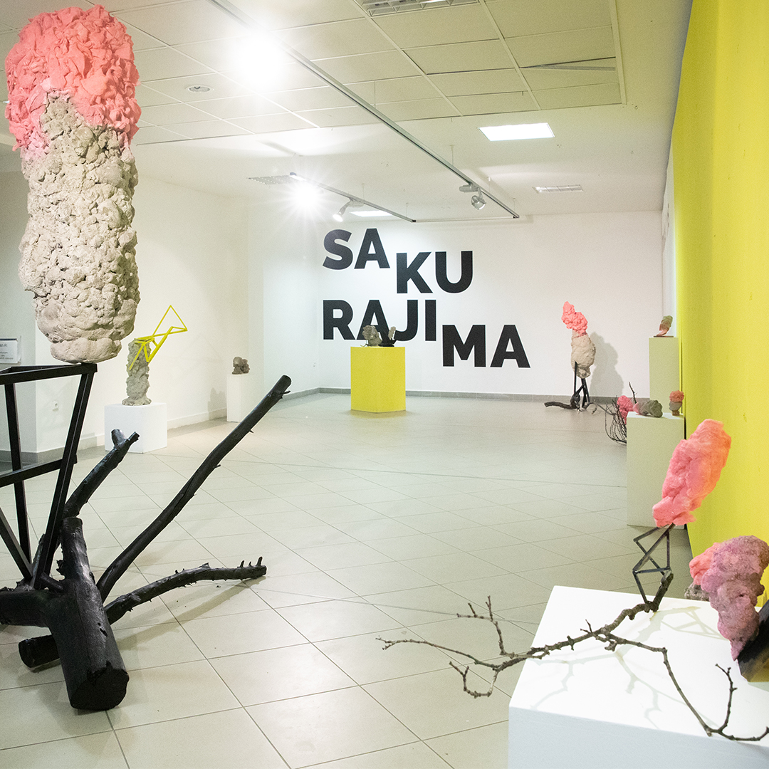 2019 fineart sculpture
contemporaryart contemporarysculpture
by AnnExcendent lovely deadly vulcanic cloud ash concrete
Radek Směták
3kurátorky exhibition Sakurajima material times