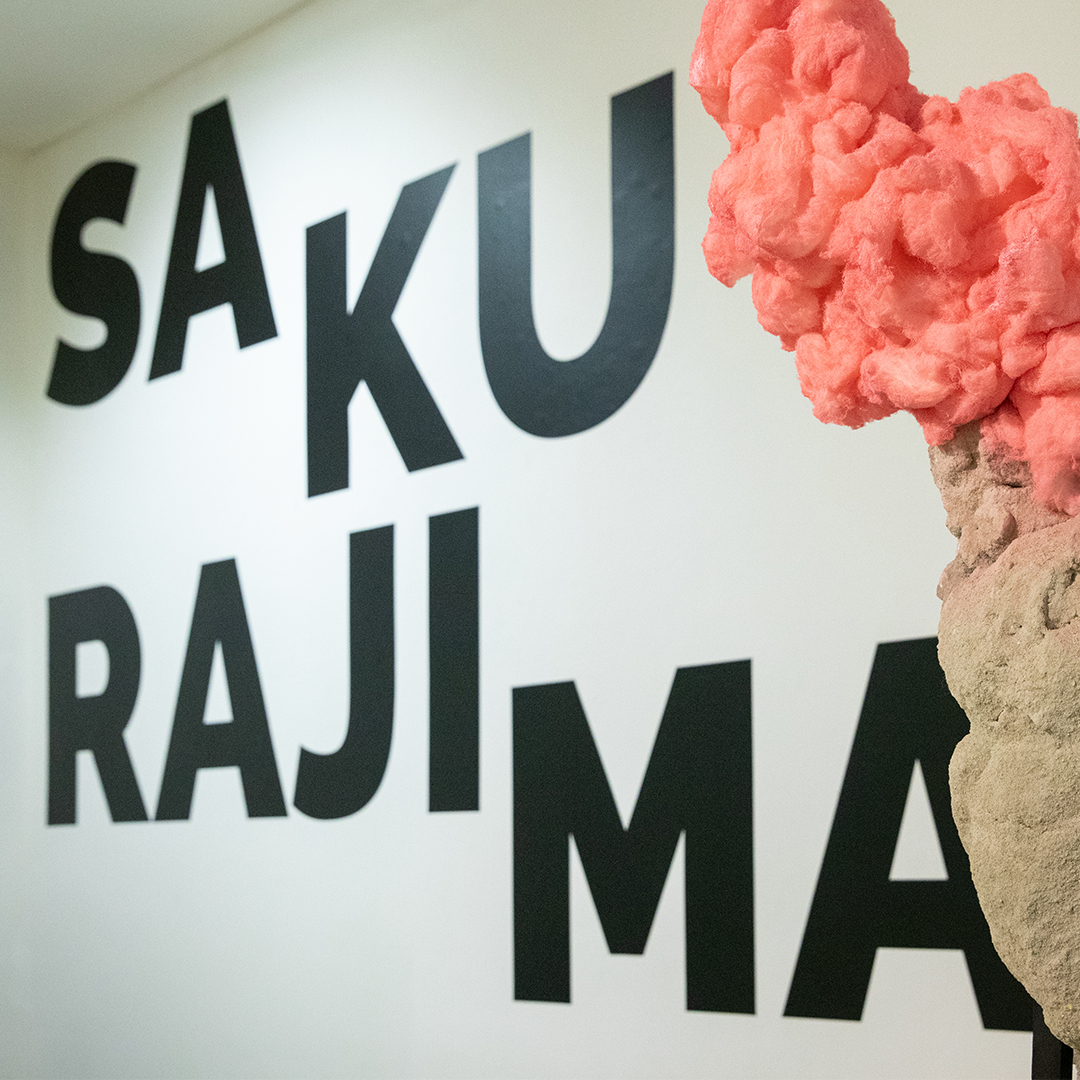 2019 fineart sculpture
contemporaryart contemporarysculpture
by AnnExcendent lovely deadly vulcanic cloud ash concrete
Radek Směták
3kurátorky exhibition Sakurajima material times