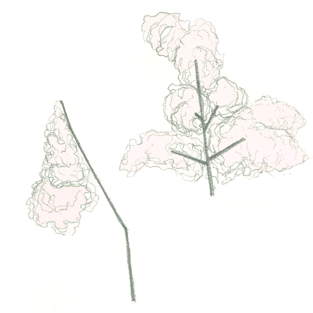  2019 fineart drawing
contemporaryart 
by AnnExcendent lovely deadly vulcanic cloud color
Radek Směták