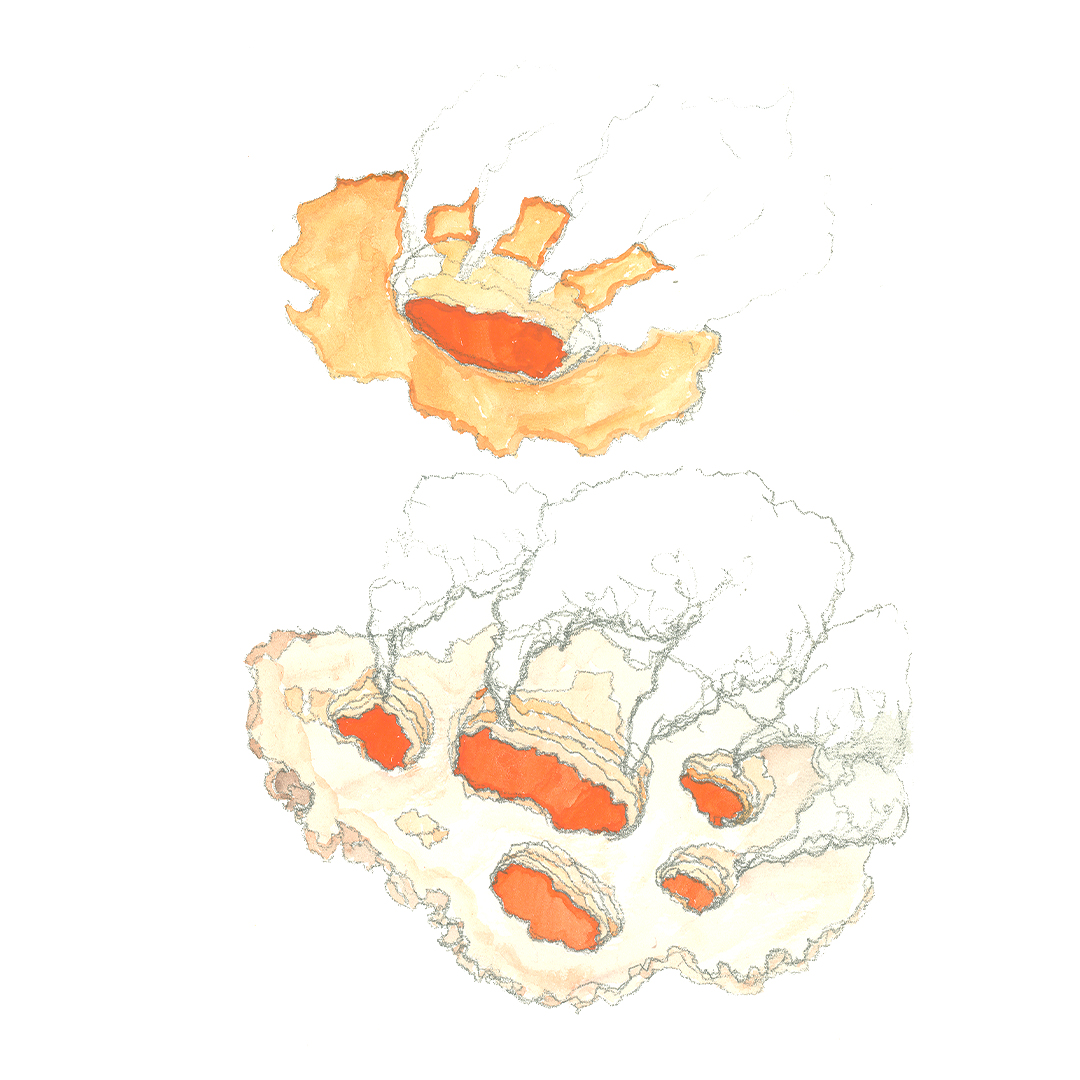  2018 fineart drawing
contemporaryart 
by AnnExcendent lovely deadly vulcanic cloud color sketch watercolor
Radek Směták